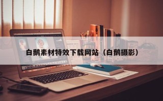 谷城白鹅素材特效下载网站（白鹅摄影）